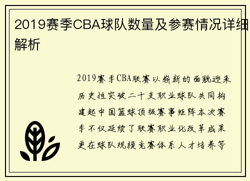 2019赛季CBA球队数量及参赛情况详细解析
